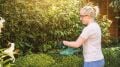 Bosch EASYHEDGECUT 18-45 Solo