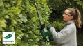 Bosch EASYHEDGECUT 18-45 Solo