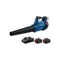 Gbl 18V-750 Akülü Üfleme Makinesi 2X8A 06008D2000
