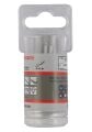 DrySpeed Bfc Elmas Delici Uç 10x30 mm