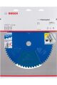 EXP for Stainless Steel - Daire Teste 305* 60 MM D