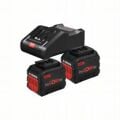 Bosch Başlangıç Kiti 2xPC18V12.0+18V-160C