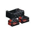 Bosch Expert Akü Seti 2 x EXBA18V 5.5 Ah Akü + GAL12V/18V Şarj Cihazı 1600A0373P 1 600 A03 73P