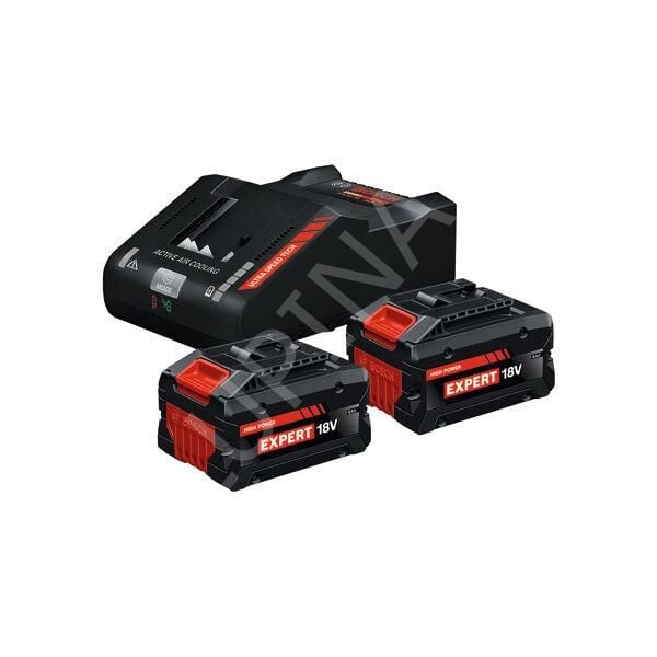Bosch EXPERT EXBA18V-80 Akü Seti (2 x 8.0 Ah Akü + EXAL18V-160 Hızlı Şarj Cihazı) - 1600A0373T