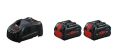 Bosch Procore 2 X 8,0Ah + GAL 1880 1600A016GG