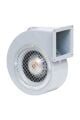 Bahçıvan BDRAS 120-60 Tek Emme Radyal Fan (230V - Salyangoz Kazan Fanı) - BDRAS-120-60