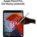 iPad Pro M5 Wi-Fi + Cellular 512GB 13'' Standart Cam - Uzay Siyahı ME7Y4TU/A