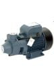 Rainpump QB80 Periferik Pompa (0.75 HP - 0.55 kW / 220V Şebeke Gerilimi - 50 L/dak Maksimum Hava Debisi)