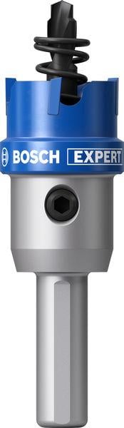 Bosch EXPERT 20 mm Elmaslı İnox Panç Adaptörü