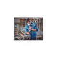 Einhell TC-MG 250 CE Raspalama Makinesi