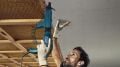 Bosch GTB 650 Alçıpan Vidalama